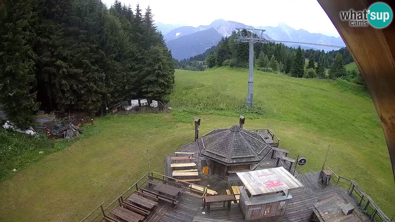 Stazione sciistica Zoncolan – Rifugio Goles