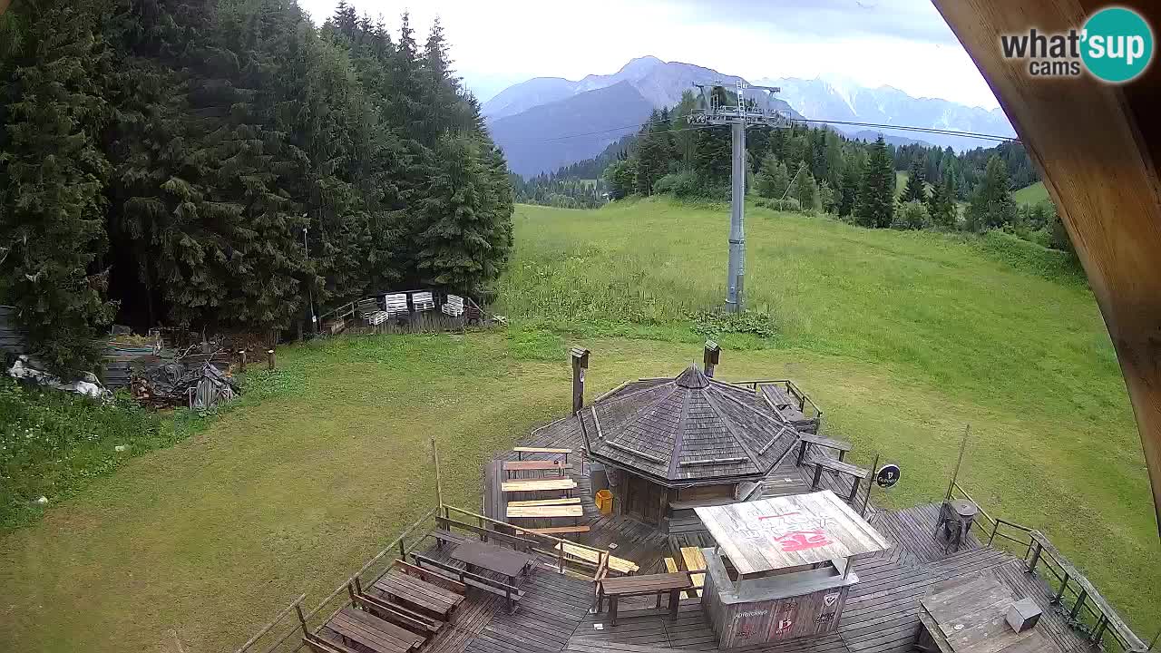 Stazione sciistica Zoncolan – Rifugio Goles