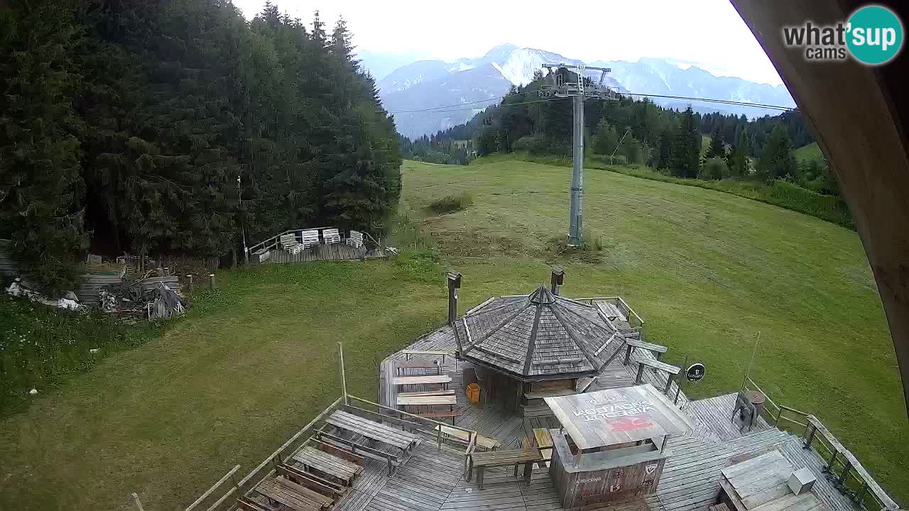Stazione sciistica Zoncolan – Rifugio Goles