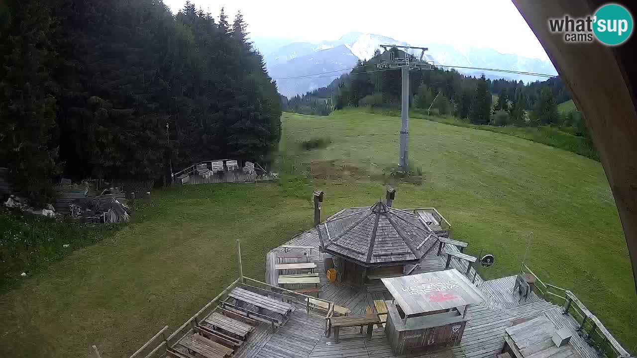 Estacion esqui Zoncolan – Goles