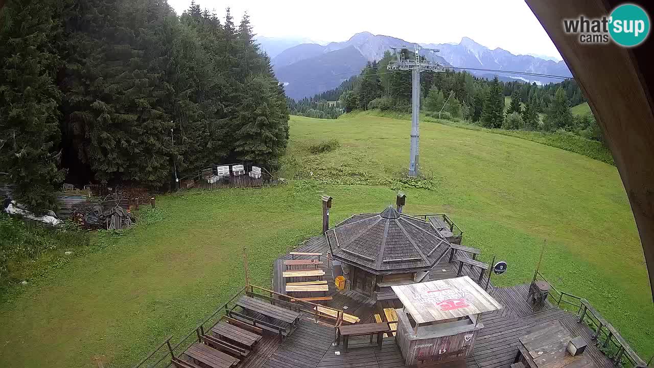 Stazione sciistica Zoncolan – Rifugio Goles
