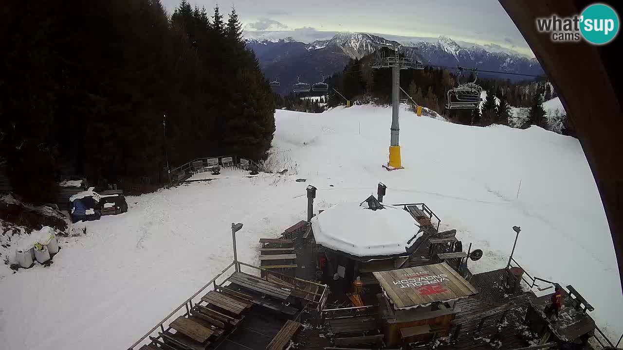 Smučišče Zoncolan – Goles