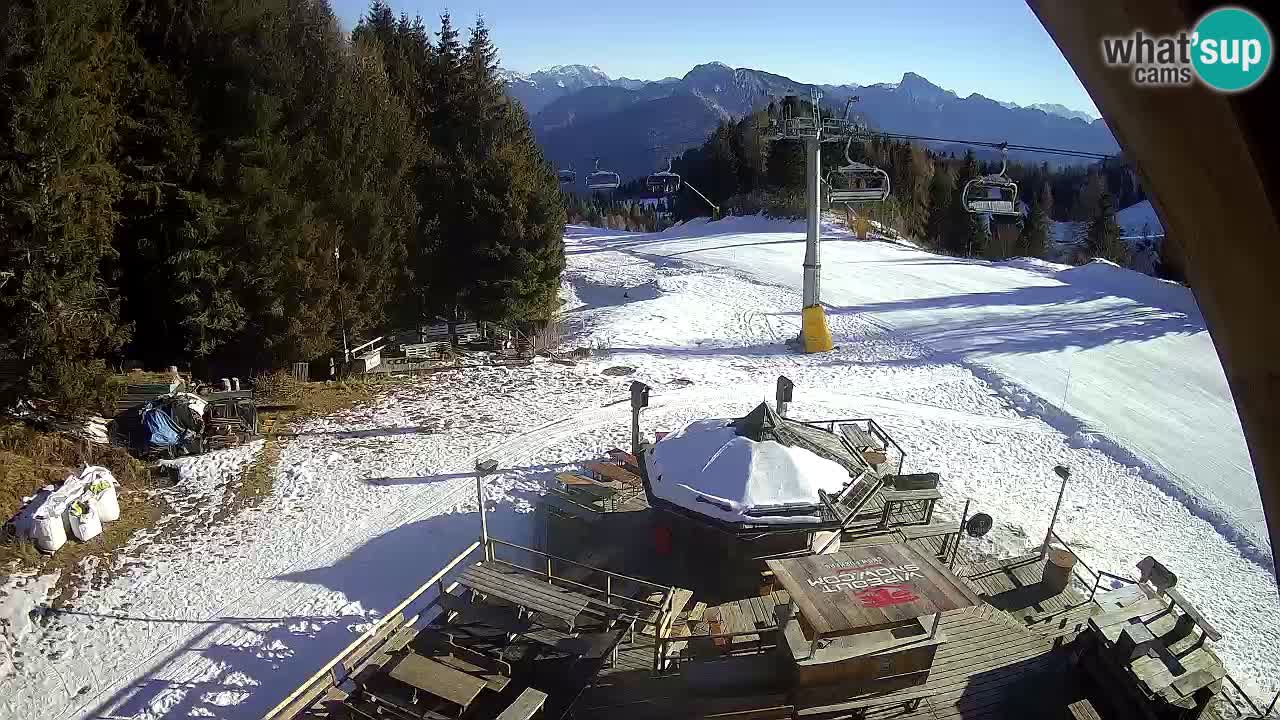 Stazione sciistica Zoncolan – Rifugio Goles