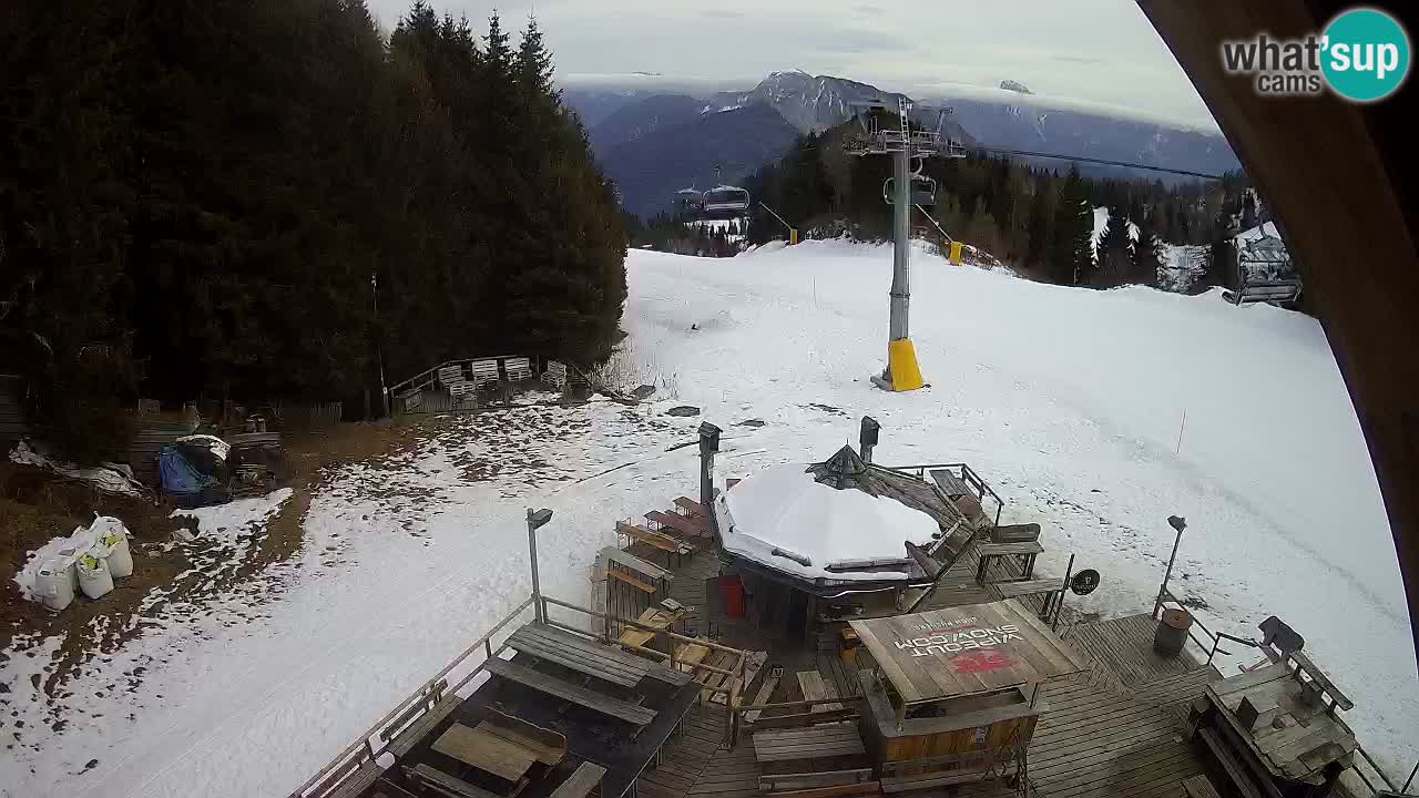 Station ski Zoncolan – Goles