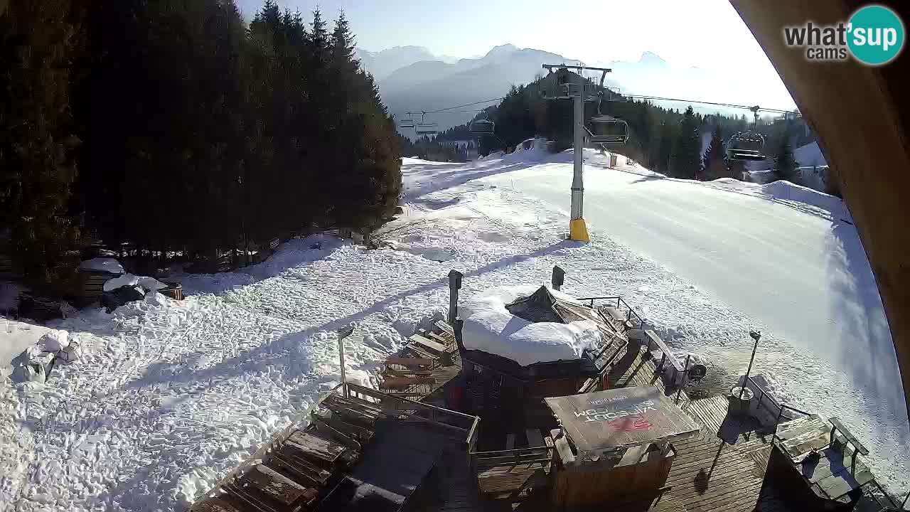 Ski resort Zoncolan mountain – Goles