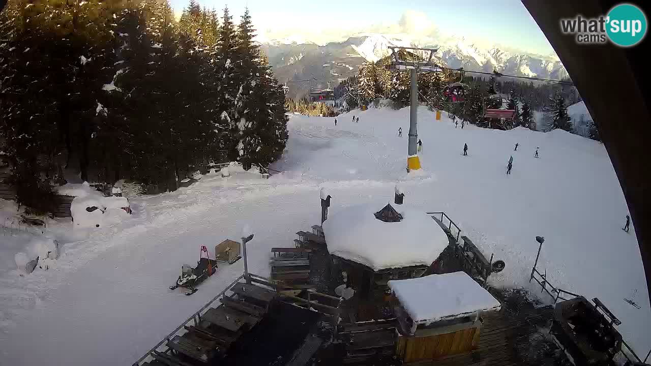 Stazione sciistica Zoncolan – Rifugio Goles