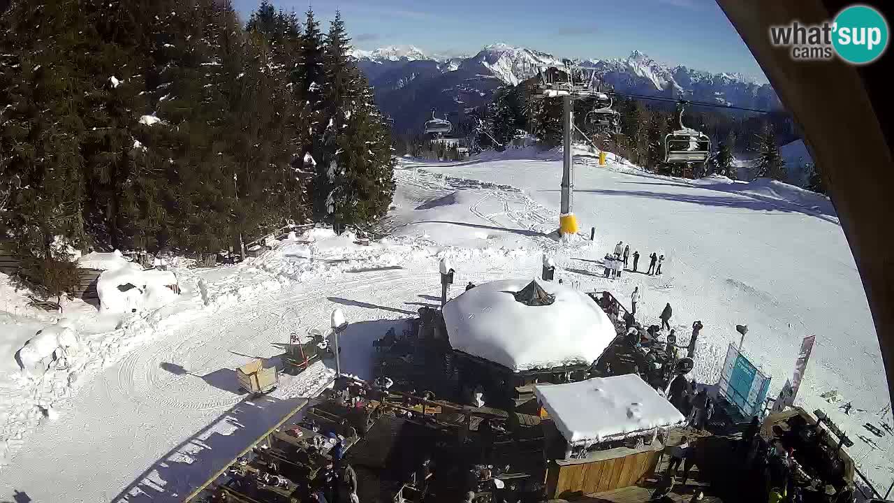 Smučišče Zoncolan – Goles