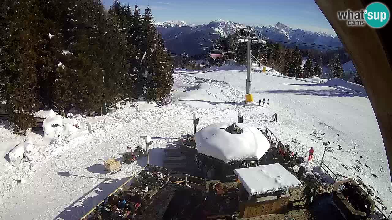 Stazione sciistica Zoncolan – Rifugio Goles