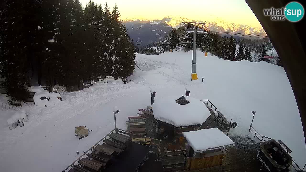 Skigebiet Zoncolan – Goles