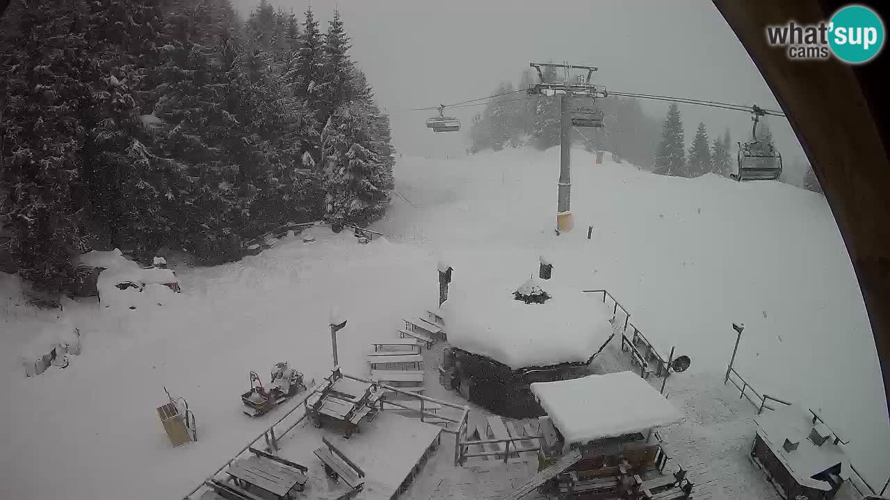 Ski resort Zoncolan mountain – Goles