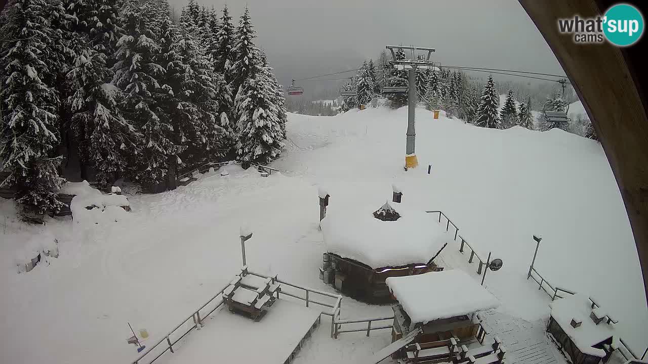 Estacion esqui Zoncolan – Goles