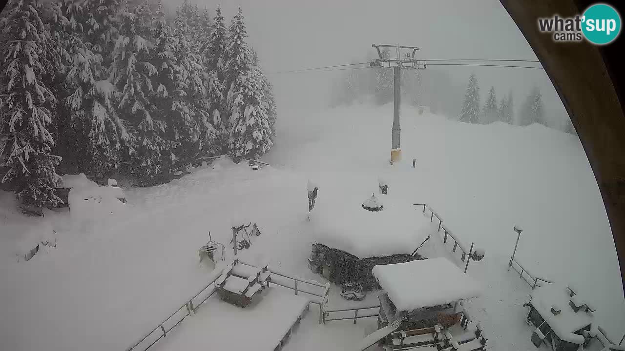 Estacion esqui Zoncolan – Goles