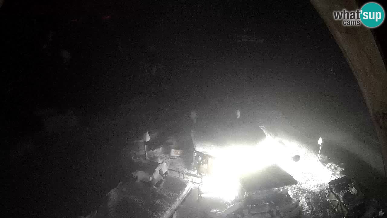 Station ski Zoncolan – Goles