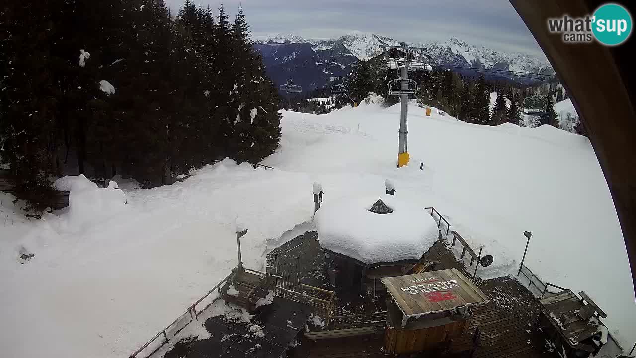 Station ski Zoncolan – Goles