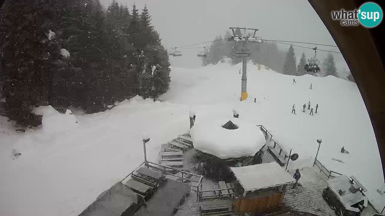 Station ski Zoncolan – Goles