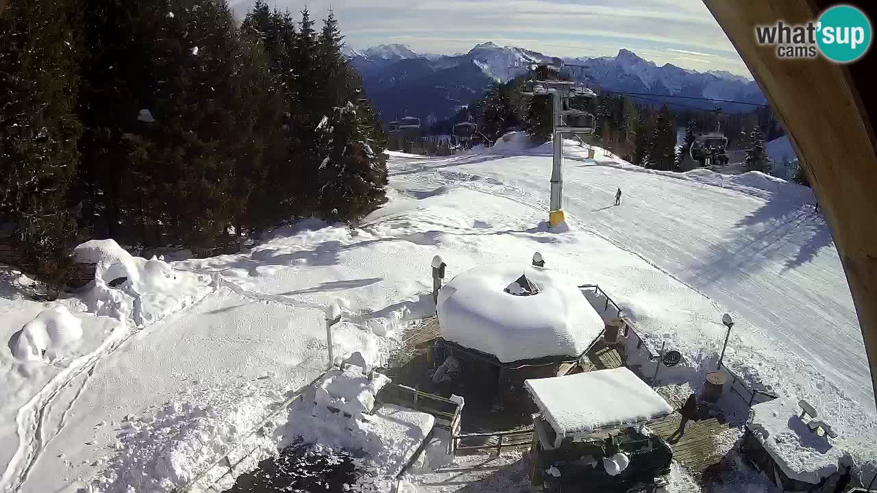 Ski resort Zoncolan mountain – Goles