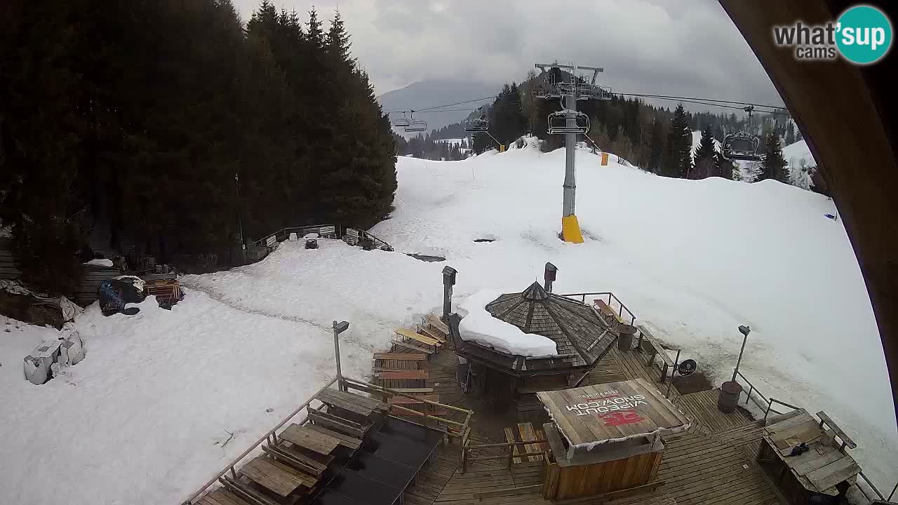 Stazione sciistica Zoncolan – Rifugio Goles