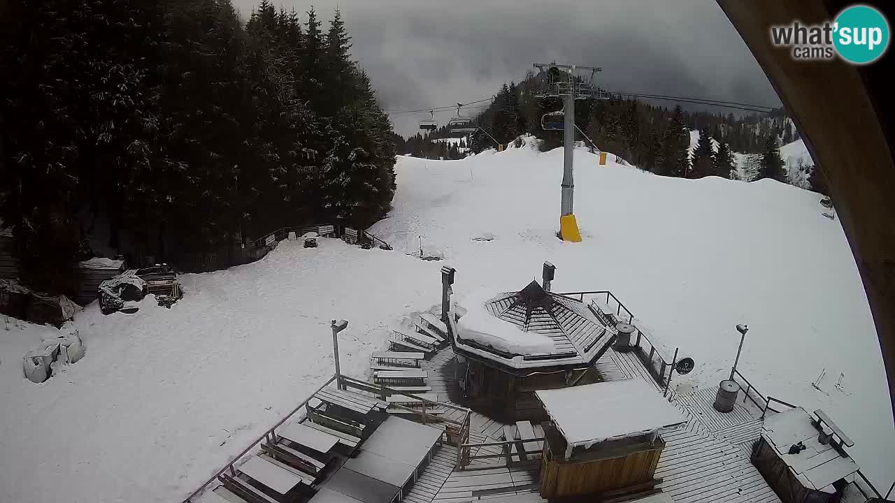 Stazione sciistica Zoncolan – Rifugio Goles