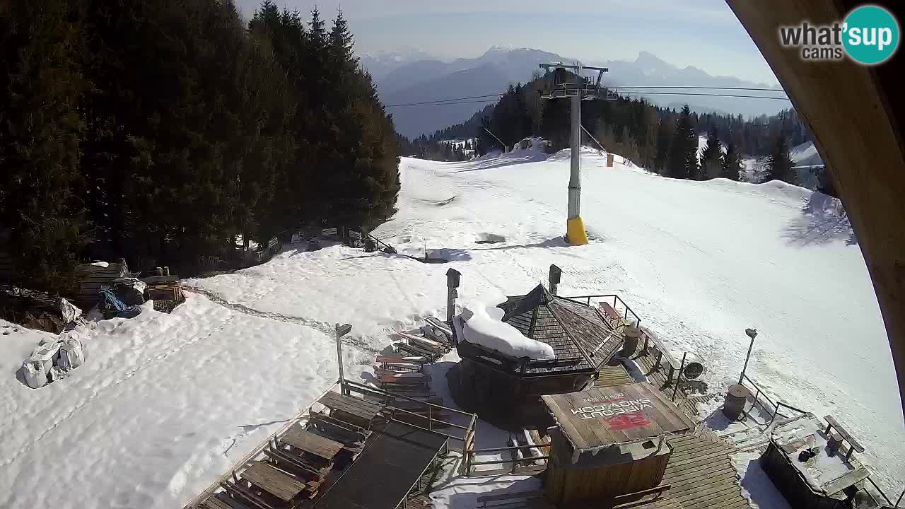 Smučišče Zoncolan – Goles