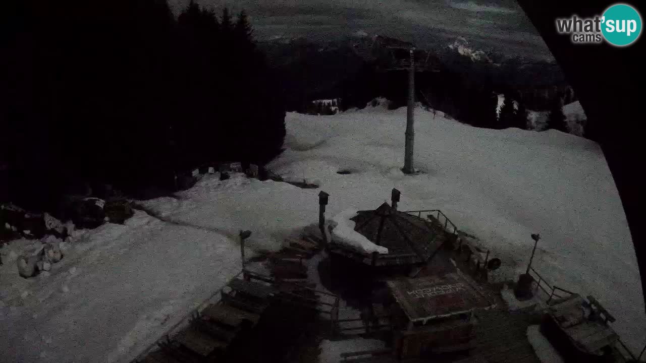 Skigebiet Zoncolan – Goles