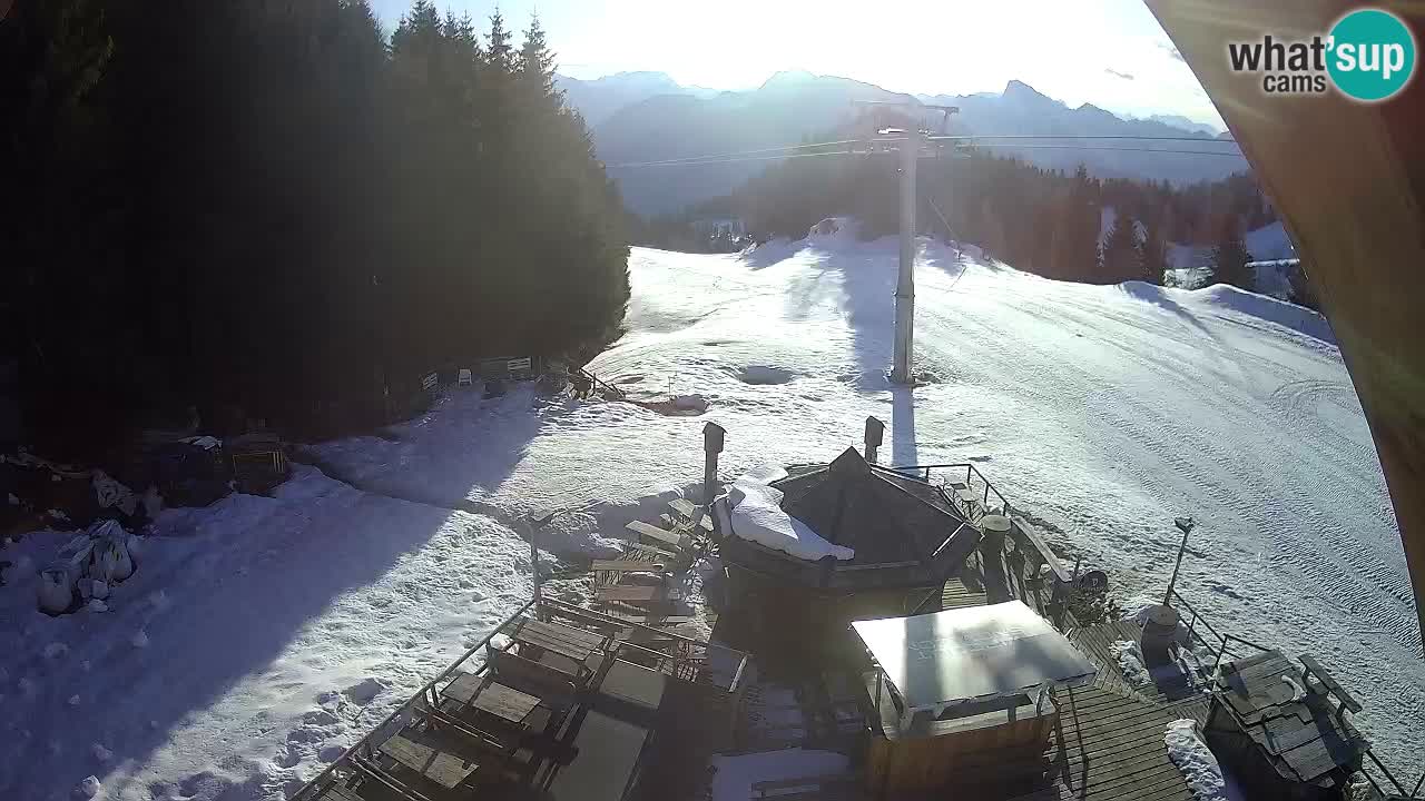 Station ski Zoncolan – Goles