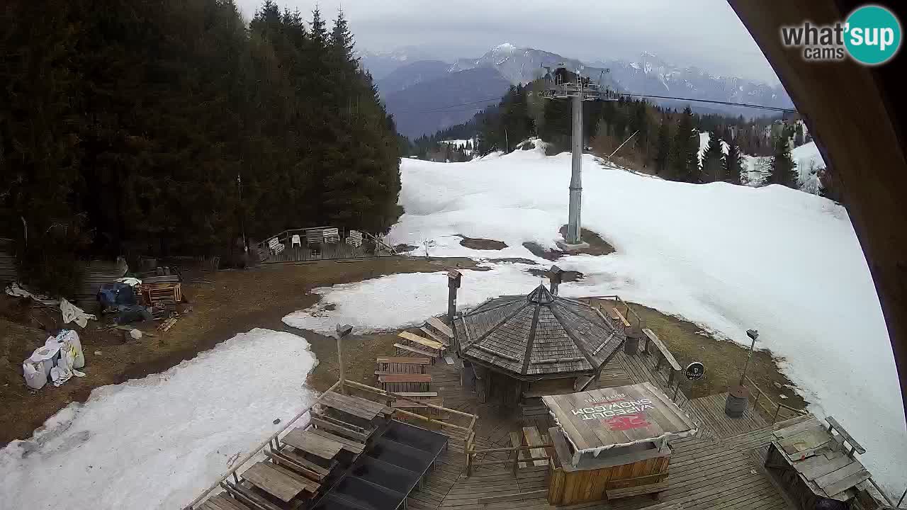 Station ski Zoncolan – Goles