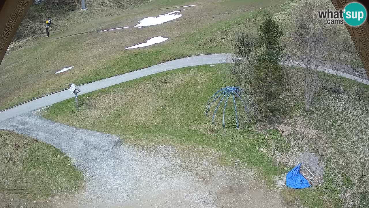 Station ski Zoncolan – Goles