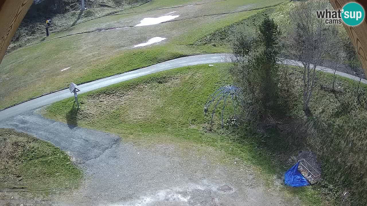 Skigebiet Zoncolan – Goles