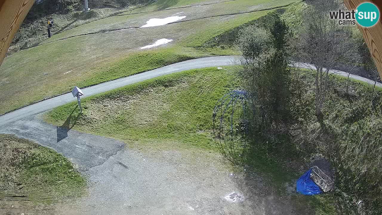 Ski resort Zoncolan mountain – Goles