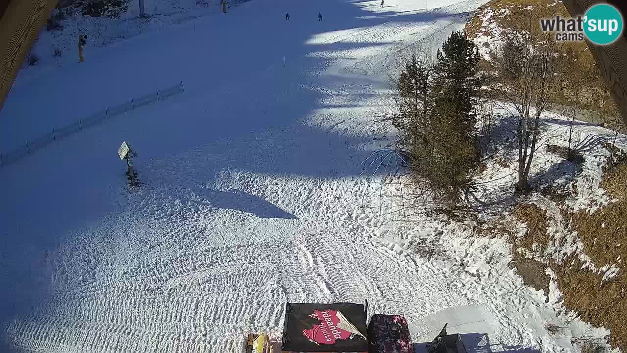 Ski resort Zoncolan mountain – Goles