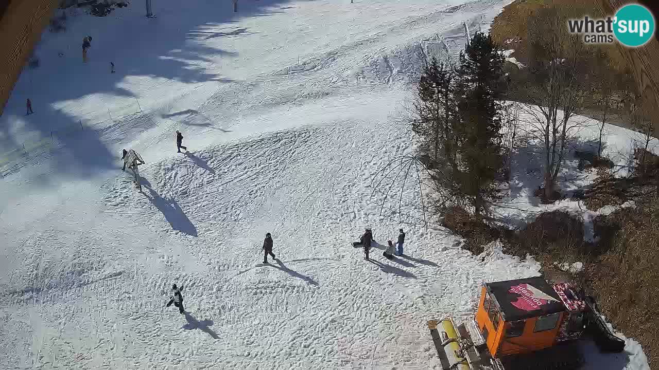 Station ski Zoncolan – Goles