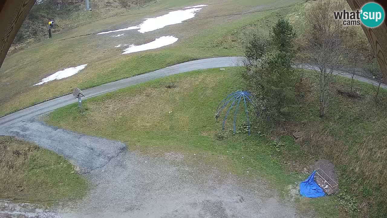 Ski resort Zoncolan mountain – Goles