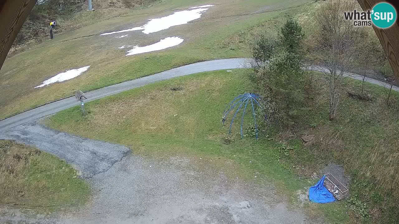 Ski resort Zoncolan mountain – Goles