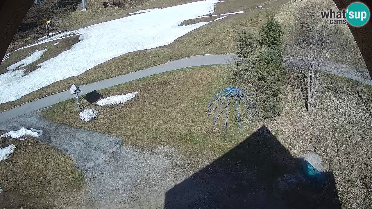 Ski resort Zoncolan mountain – Goles