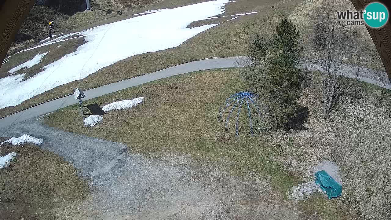 Ski resort Zoncolan mountain – Goles