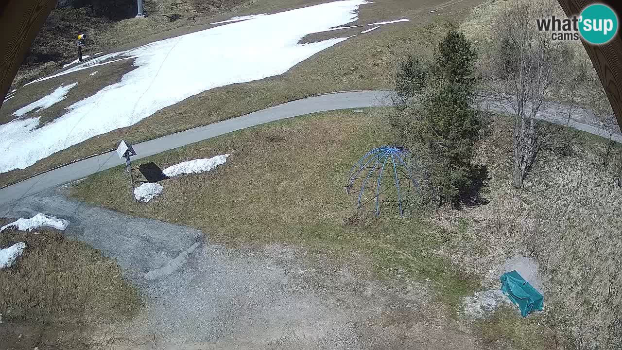 Ski resort Zoncolan mountain – Goles