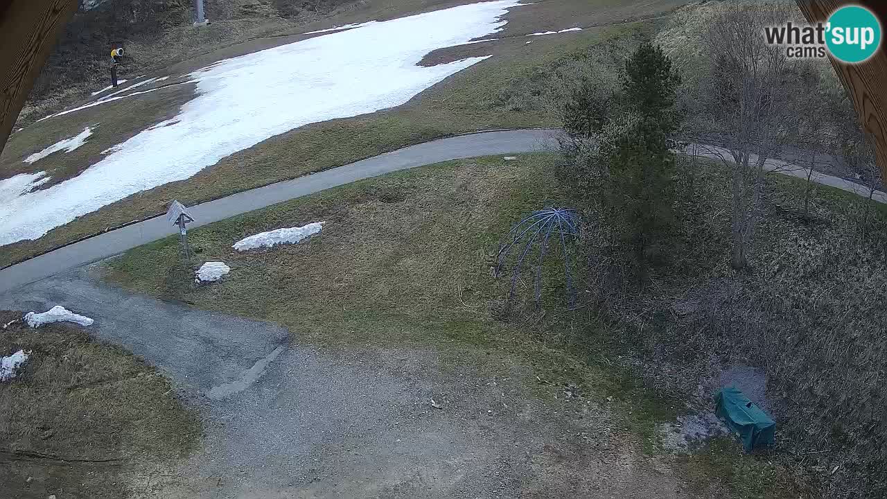 Smučišče Zoncolan – Goles