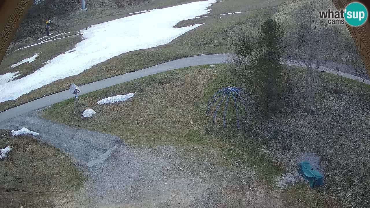 Ski resort Zoncolan mountain – Goles
