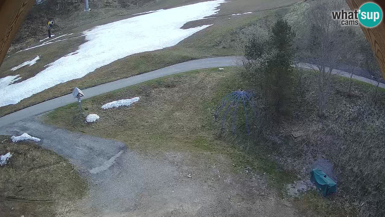 Smučišče Zoncolan – Goles