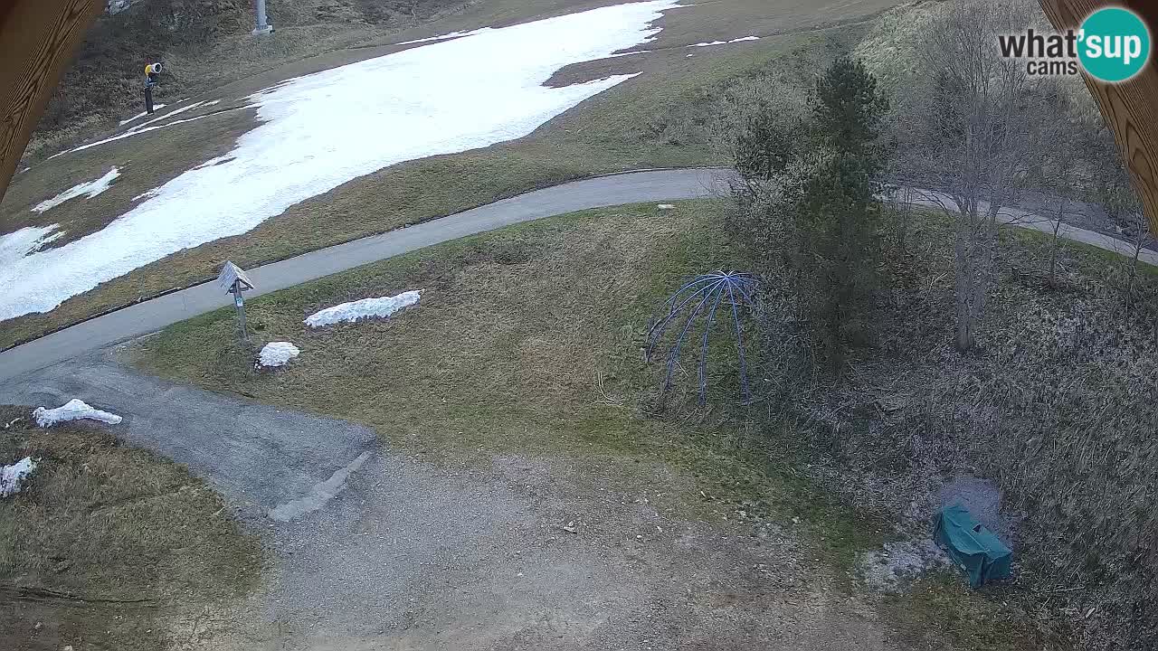 Smučišče Zoncolan – Goles