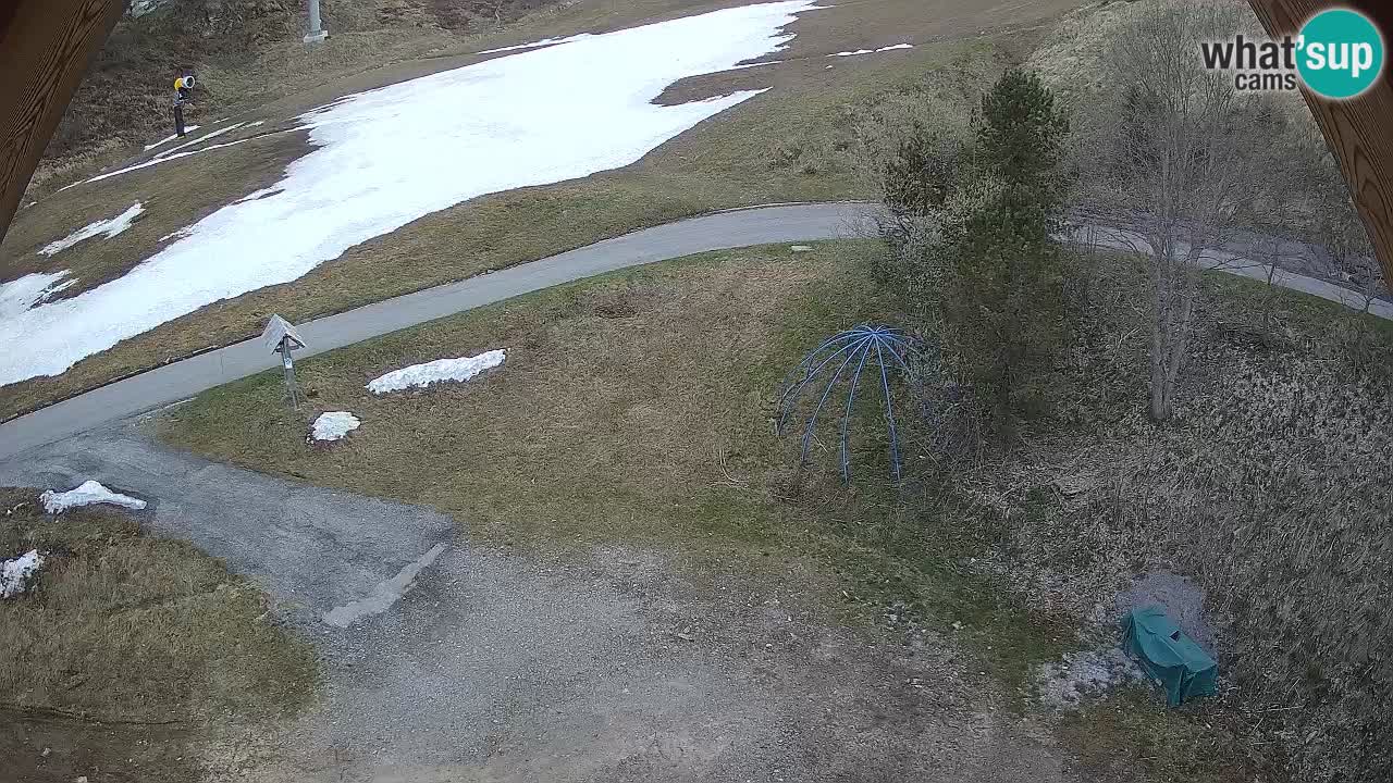 Ski resort Zoncolan mountain – Goles