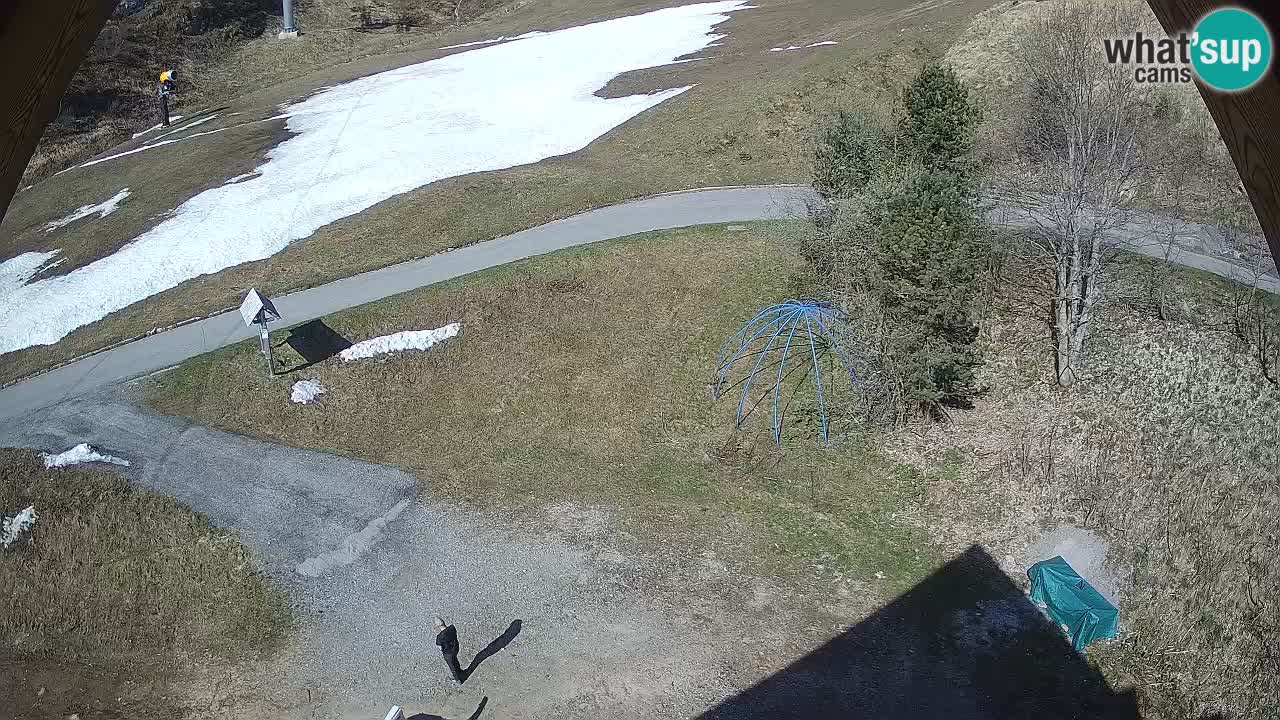 Station ski Zoncolan – Goles