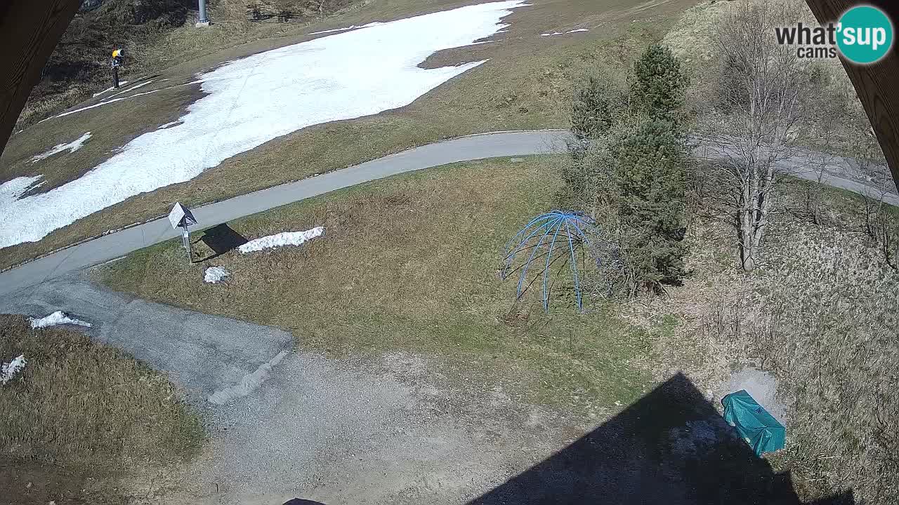 Station ski Zoncolan – Goles