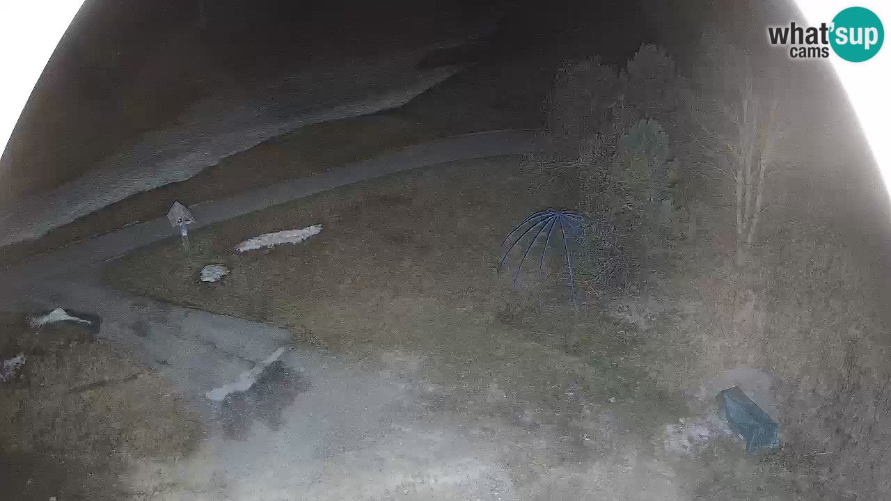 Skijalište Zoncolan – Goles