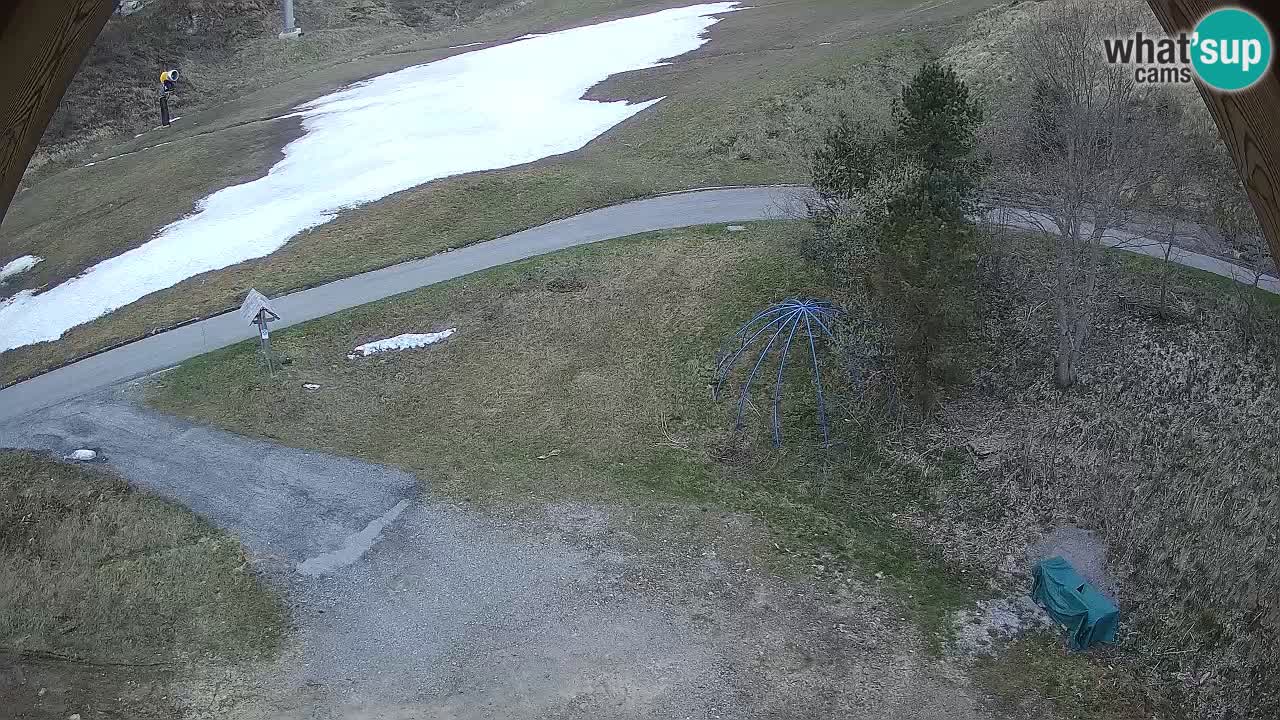 Ski resort Zoncolan mountain – Goles