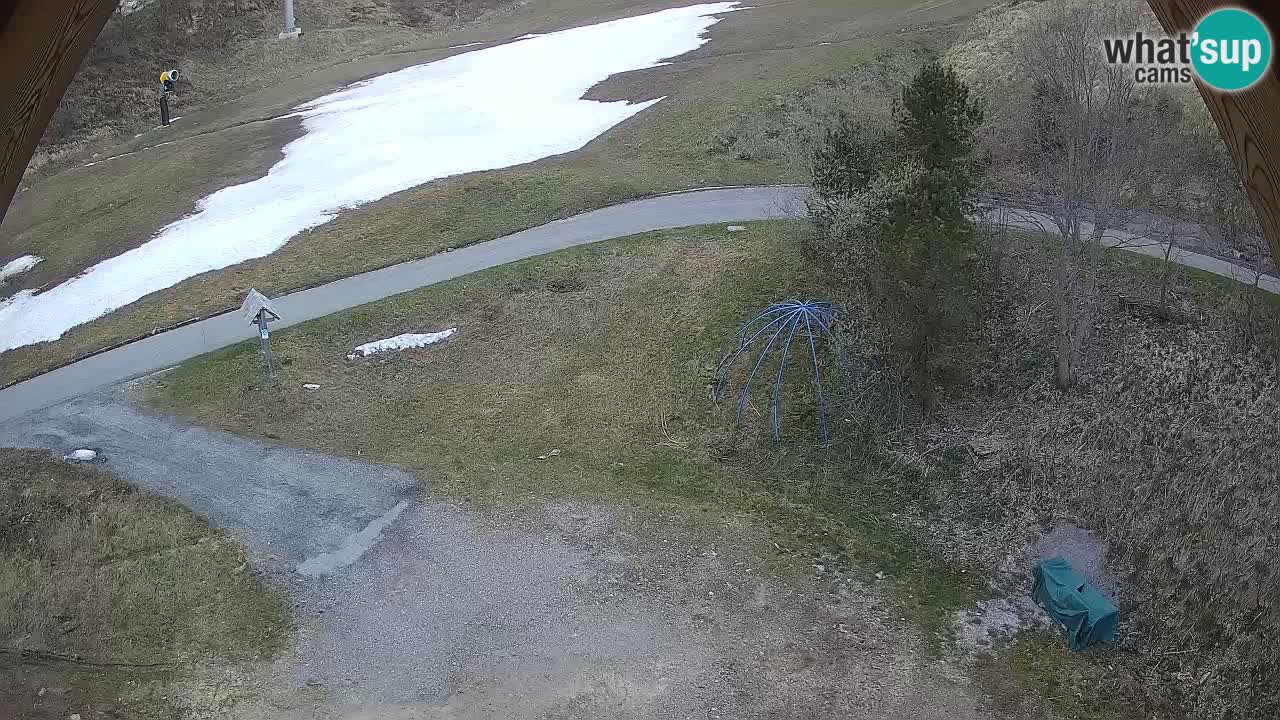 Ski resort Zoncolan mountain – Goles