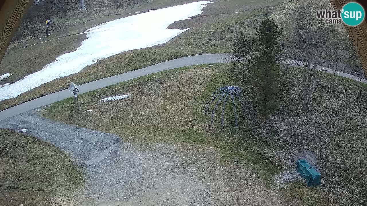 Smučišče Zoncolan – Goles