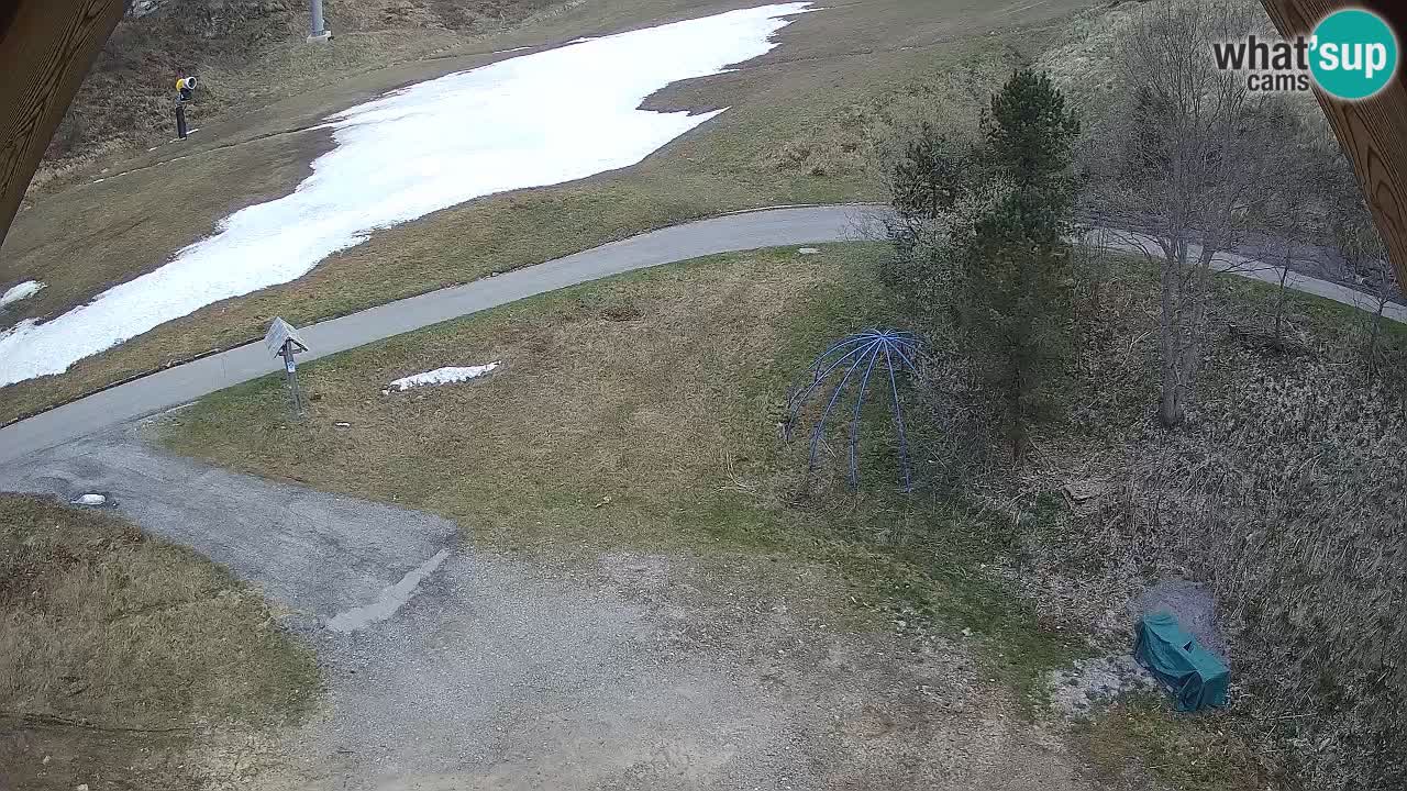 Station ski Zoncolan – Goles