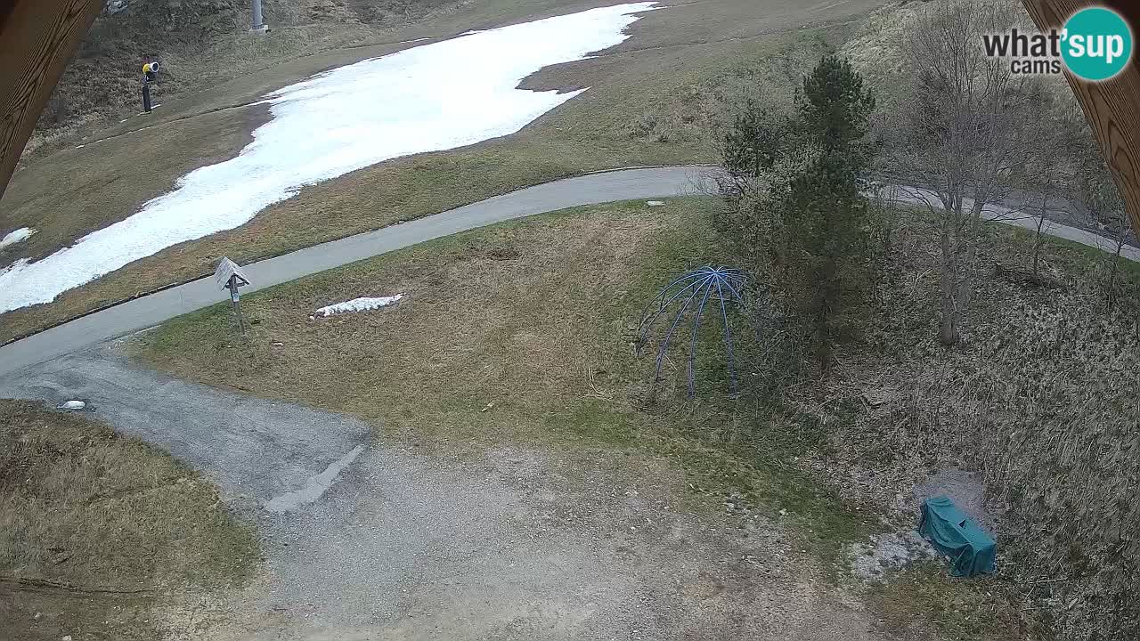Station ski Zoncolan – Goles