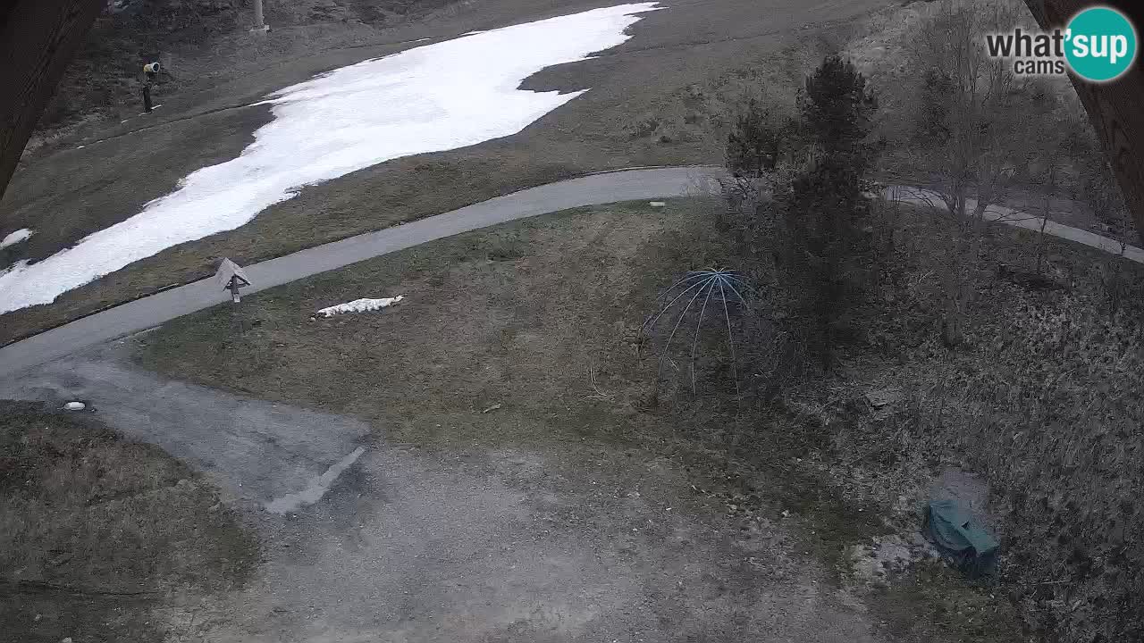 Skigebiet Zoncolan – Goles